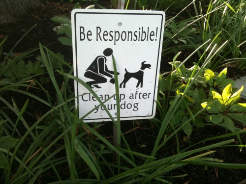 Cleanup after dog sign