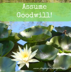 Assume Goodwill