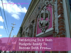 Switching To A Cash Budget