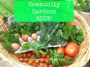 Community Gardens Rock