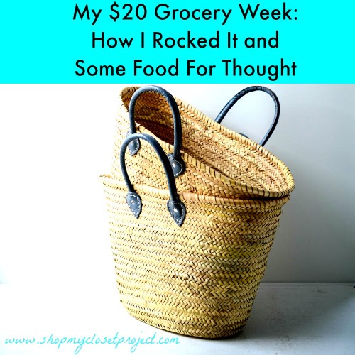 My $20 Dollar Grocery Week: How I Rocked it and Some Food For Thought